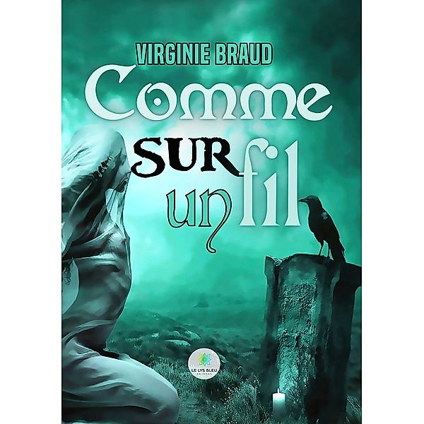 Comme sur un fil, Virginie Braud