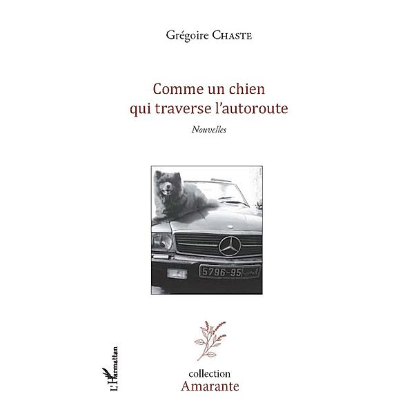 Comme un chien qui traverse l'autoroute, Chaste Gregoire Chaste