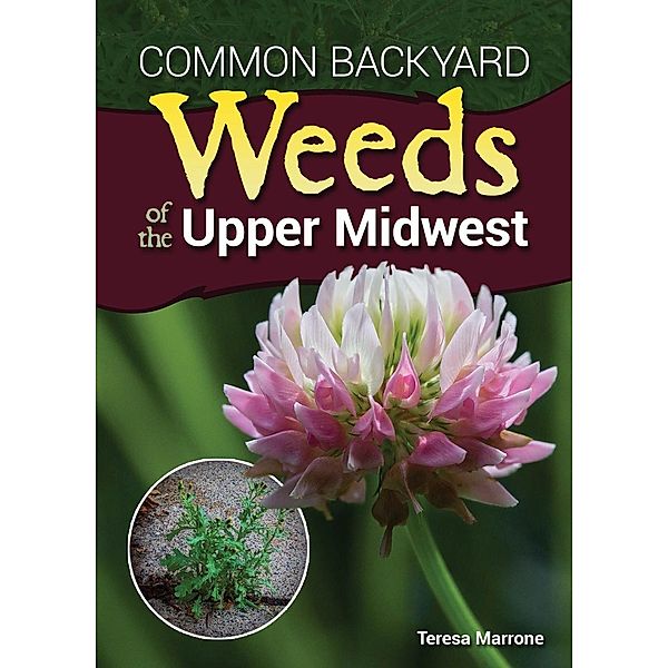 Common Backyard Weeds of the Upper Midwest, Teresa Marrone