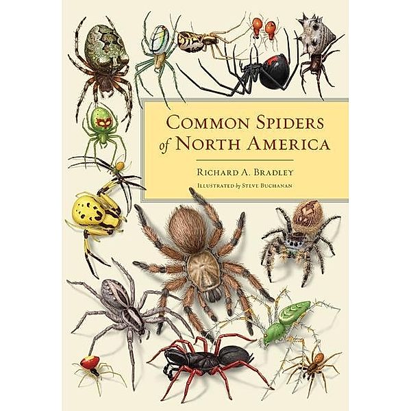 Common Spiders of North America, Richard A. Bradley