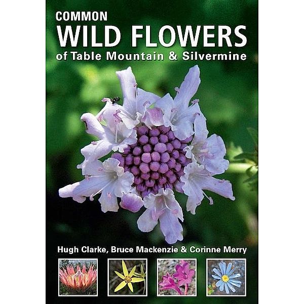 Common Wild Flowers of Table Mountain & Silvermine / Struik Nature, Hugh Clarke