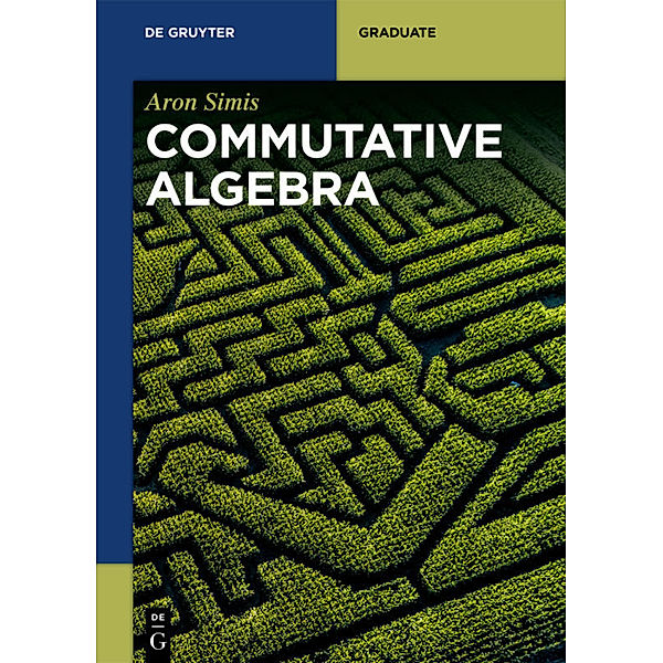 Commutative Algebra, Aron Simis