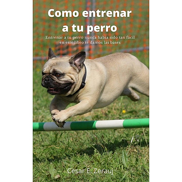 Como entrenar a tu perro   Entrenar a tu perro nunca había sido tan fácil en este libro te damos las bases, Gustavo Espinosa Juarez, Cesar E. Zerauj