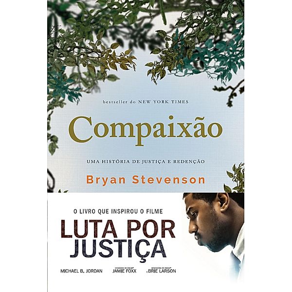 Compaixão, Bryan Stevenson