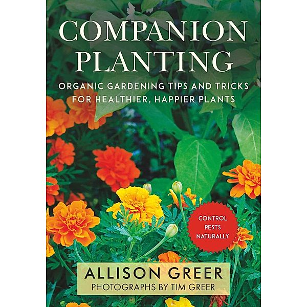 Companion Planting, Allison Greer