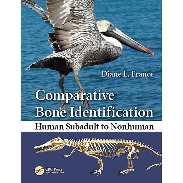 Comparative Bone Identification, Diane L. France