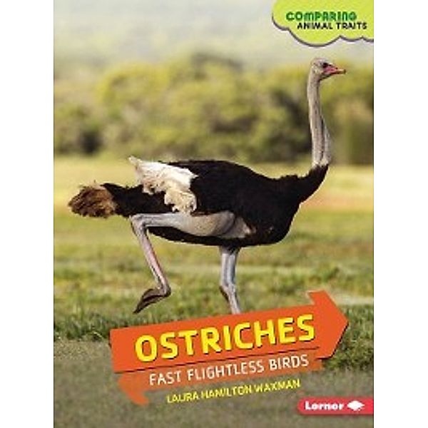 Comparing Animal Traits: Ostriches, Laura Hamilton Waxman