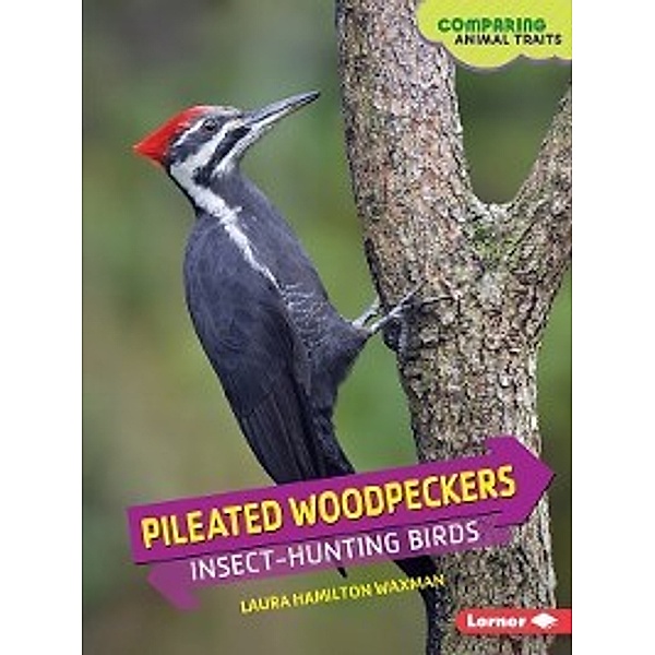 Comparing Animal Traits: Pileated Woodpeckers, Laura Hamilton Waxman