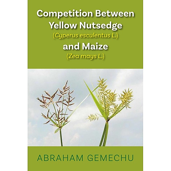 Competition Between Yellow Nutsedge (Cyperus Sp.) and Maize (Zea Mays L.), Abraham Gemechu