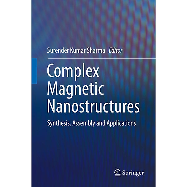 Complex Magnetic Nanostructures