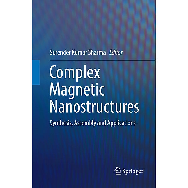 Complex Magnetic Nanostructures