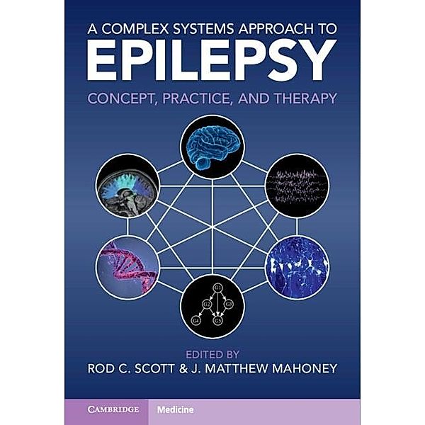 Complex Systems Approach to Epilepsy