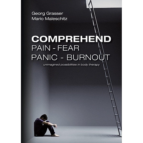 Comprehend Pain-Fear-Panic-Burnout, Mario Maleschitz, Georg Grasser