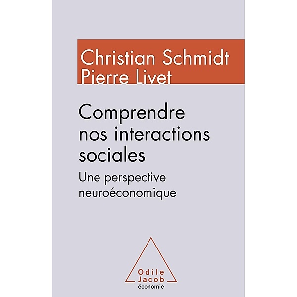 Comprendre nos interactions sociales, Schmidt Christian Schmidt