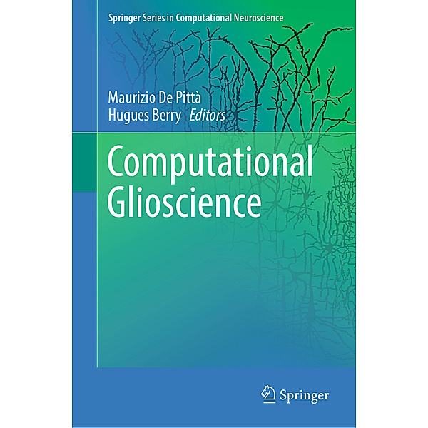 Computational Glioscience