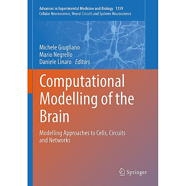Computational Modelling of the Brain