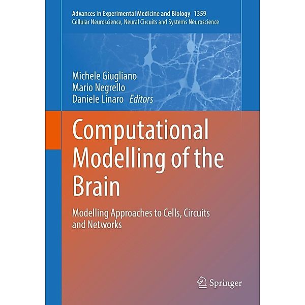 Computational Modelling of the Brain / Advances in Experimental Medicine and Biology Bd.1359