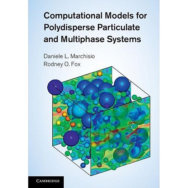 Computational Models for Polydisperse Particulate and Multiphase Systems, Daniele L. Marchisio