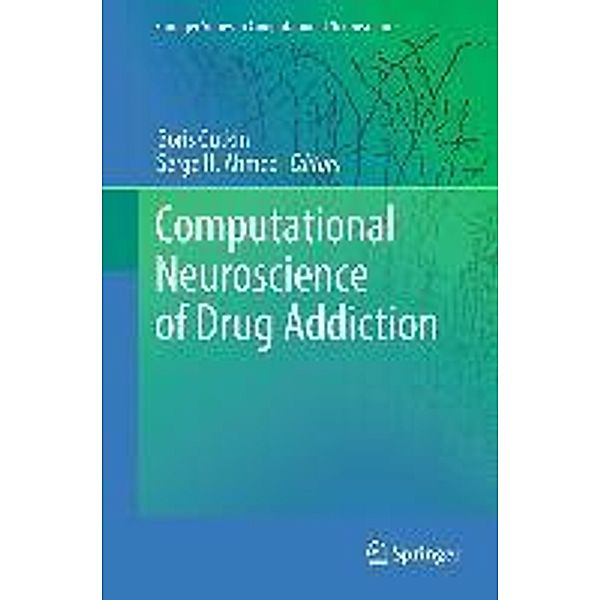 Computational Neuroscience of Drug Addiction / Springer Series in Computational Neuroscience Bd.10, Boris Gutkin