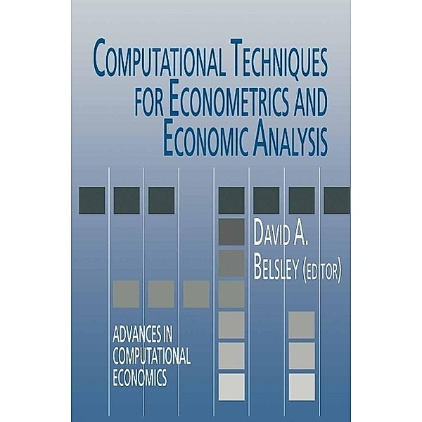Computational Techniques for Econometrics and Economic Analysis / Advances in Computational Economics Bd.3