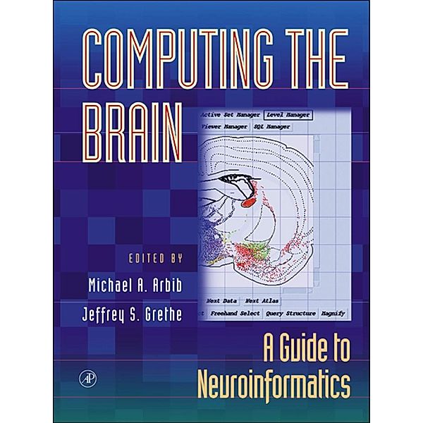 Computing the Brain