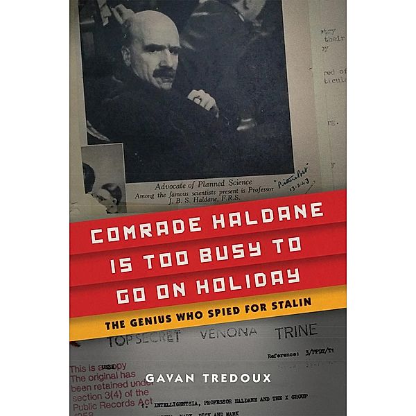 Comrade Haldane Is Too Busy to Go on Holiday, Gavan Tredoux