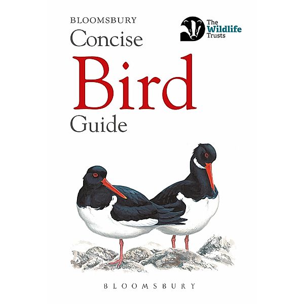 Concise Bird Guide, Bloomsbury