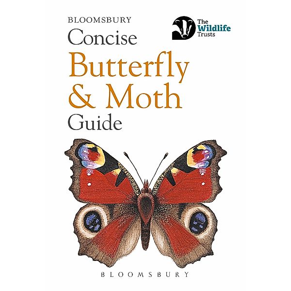 Concise Butterfly and Moth Guide, Bloomsbury