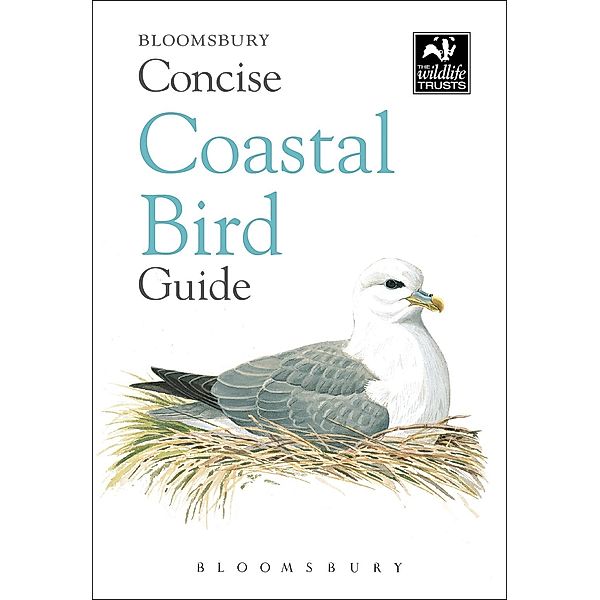 Concise Coastal Bird Guide, Bloomsbury Publishing
