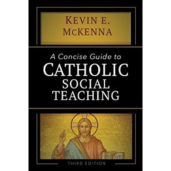 Concise Guide to Catholic Social Teaching, Kevin E. McKenna