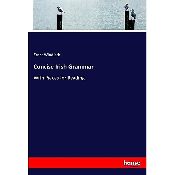 Concise Irish Grammar, Ernst Windisch
