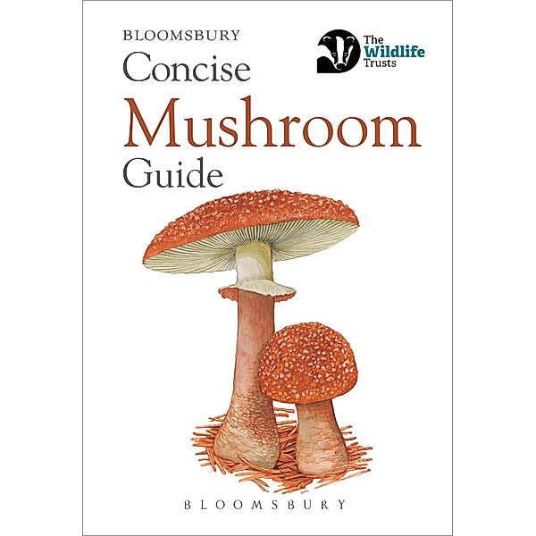 Concise Mushroom Guide, Bloomsbury