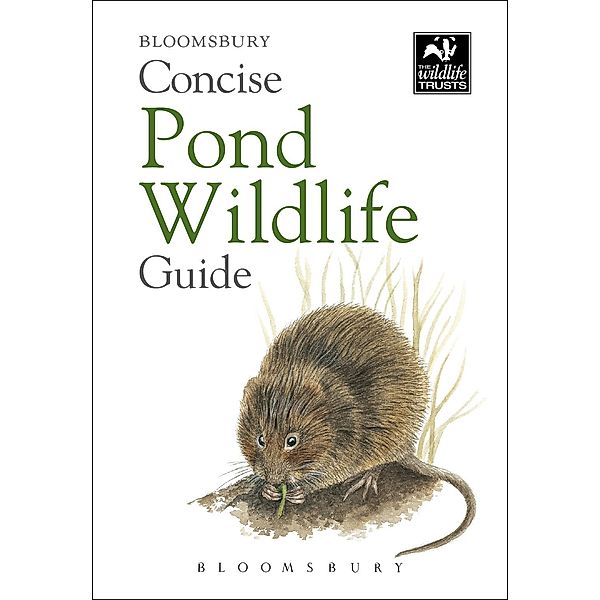 Concise Pond Wildlife Guide, Bloomsbury