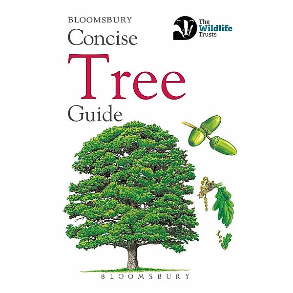 Concise Tree Guide, Bloomsbury