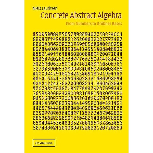 Concrete Abstract Algebra, Niels Lauritzen