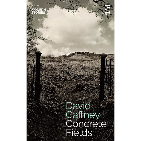 Concrete Fields / Salt Modern Stories Bd.0, David Gaffney