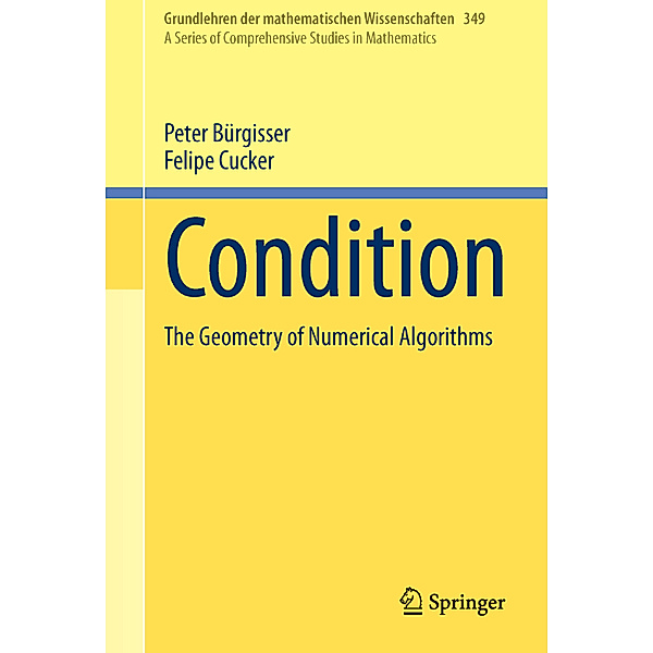 Condition, Peter Bürgisser, Felipe Cucker