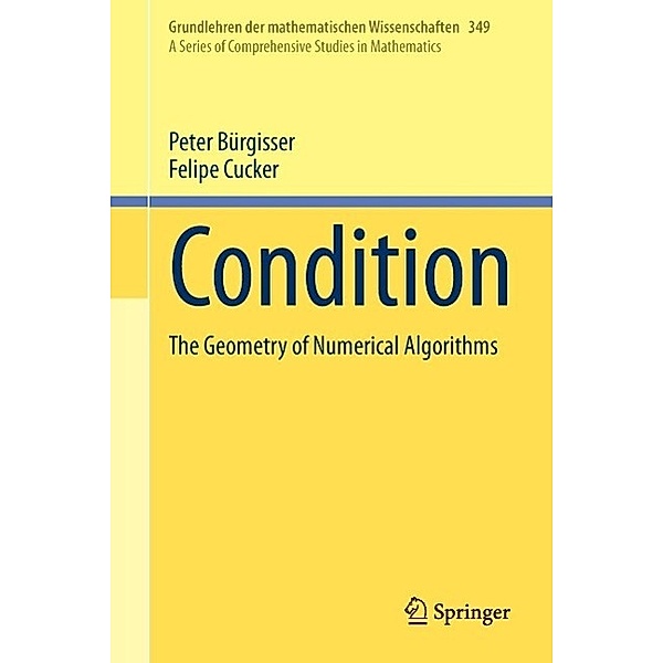 Condition / Grundlehren der mathematischen Wissenschaften Bd.349, Peter Bürgisser, Felipe Cucker