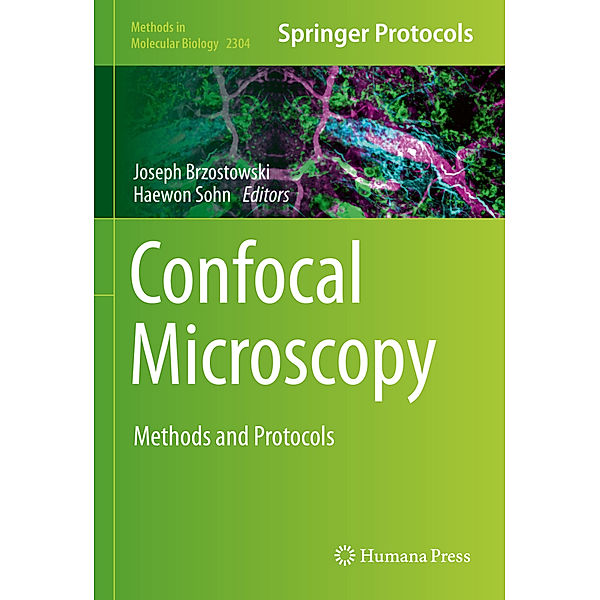 Confocal Microscopy