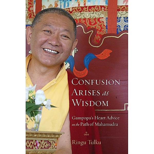 Confusion Arises as Wisdom, Ringu Tulku