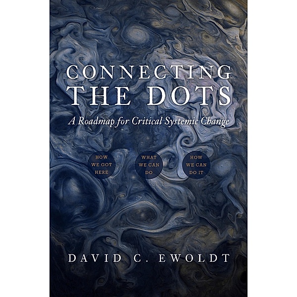 Connecting the Dots: A Roadmap for Critical Systemic Change, David C Ewoldt
