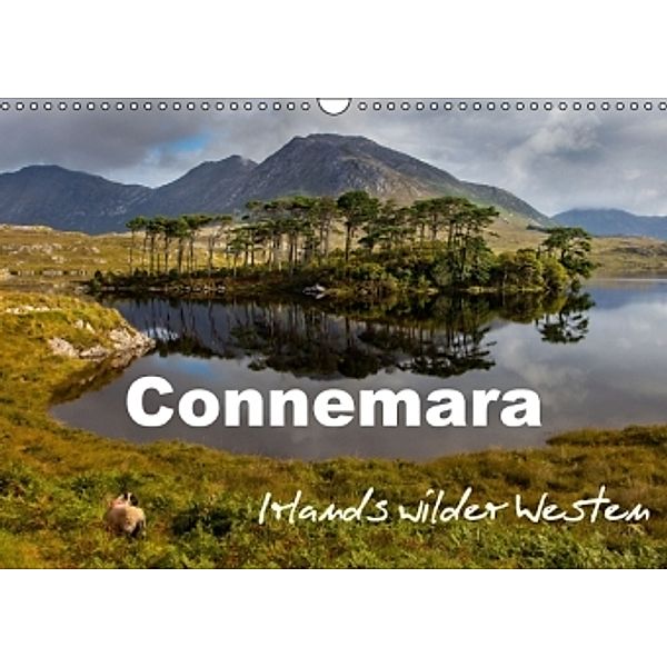 Connemara - Irlands wilder Westen (Wandkalender 2016 DIN A3 quer), Ferry Böhme