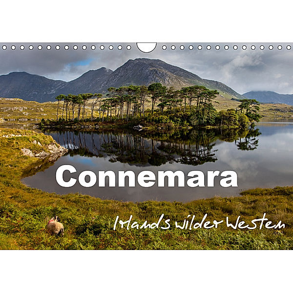 Connemara - Irlands wilder Westen (Wandkalender 2019 DIN A4 quer), Ferry BÖHME
