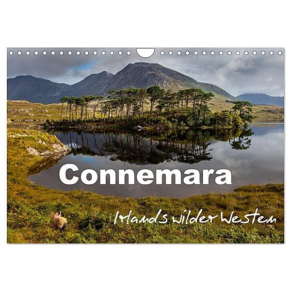 Connemara - Irlands wilder Westen (Wandkalender 2024 DIN A4 quer), CALVENDO Monatskalender, Ferry Böhme