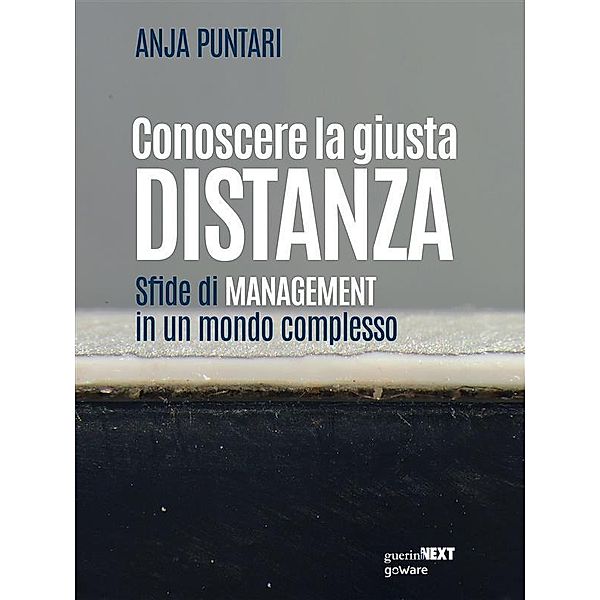 Conoscere la giusta distanza. Sfide di management in un mondo complesso, Anja Puntari