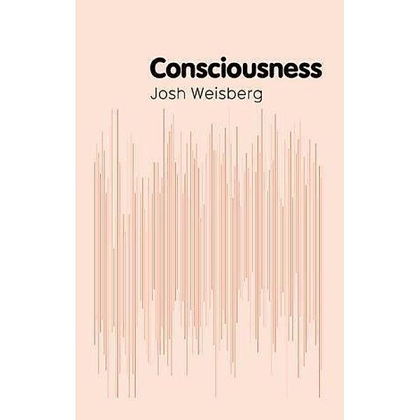Consciousness, Josh Weisberg