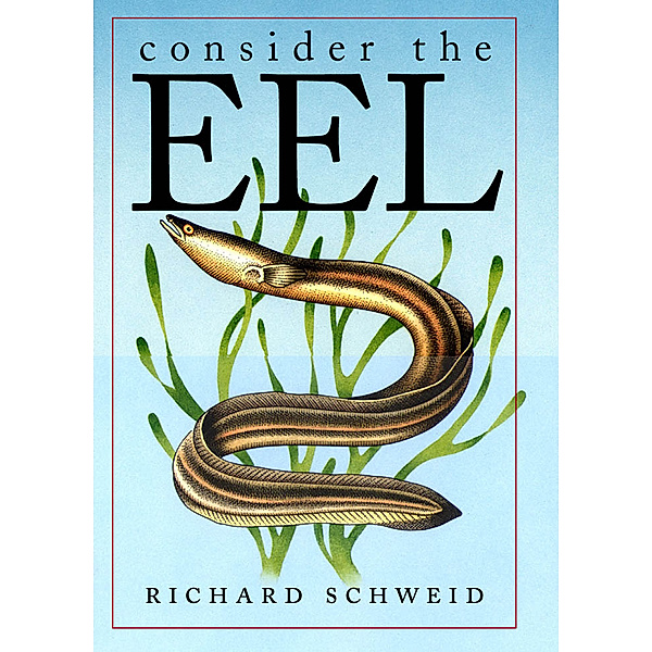 Consider the Eel, Richard Schweid