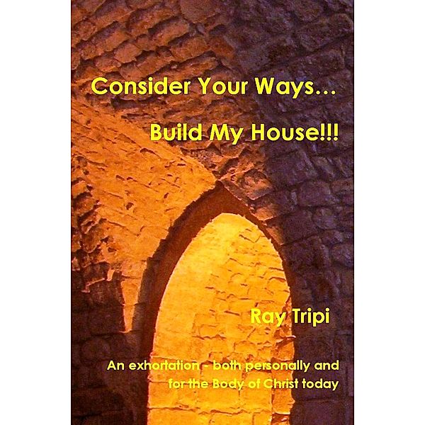 Consider your ways...Build my house!!!, Raymond Tripi