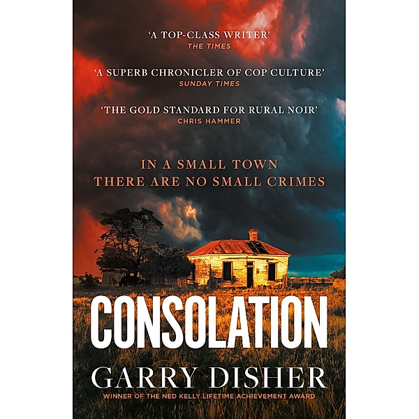 Consolation / The Paul Hirsch mysteries Bd.3, Garry Disher