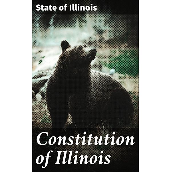 Constitution of Illinois, State of Illinois